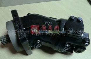 力士乐液压马达A2FM45维修与电机维修服务详解